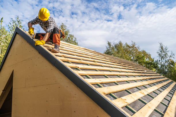 Best Roof Gutter Cleaning  in Cape May, NJ